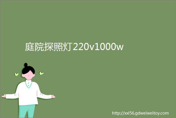 庭院探照灯220v1000w